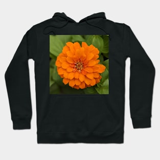 Orange Layers Flower Photographic Image Hoodie